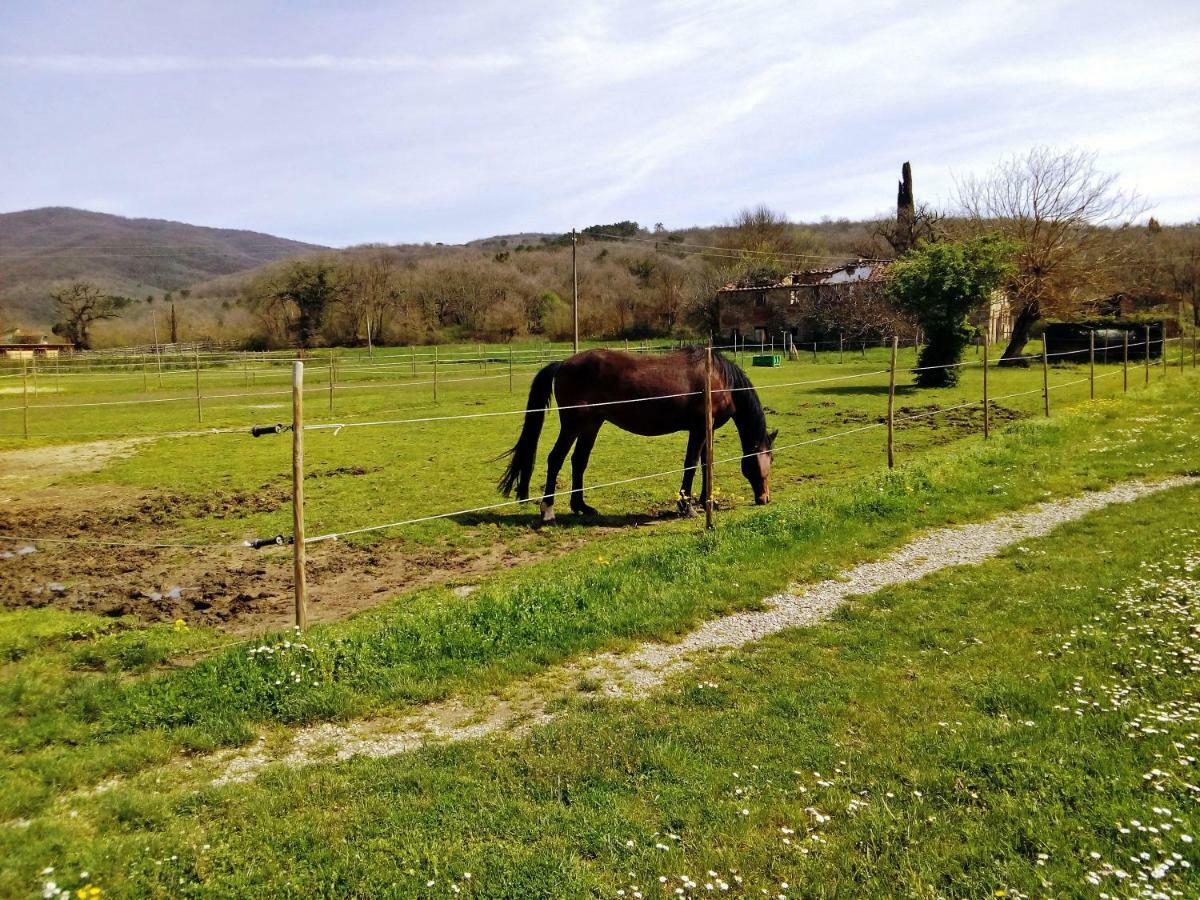 Antica Dimora Figli Di Bocco Apartman Castiglion Fibocchi Kültér fotó